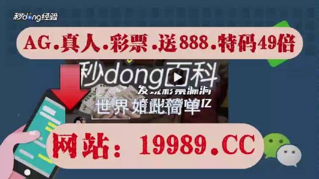 2024澳门全年资料彩免费-实证分析解释落实