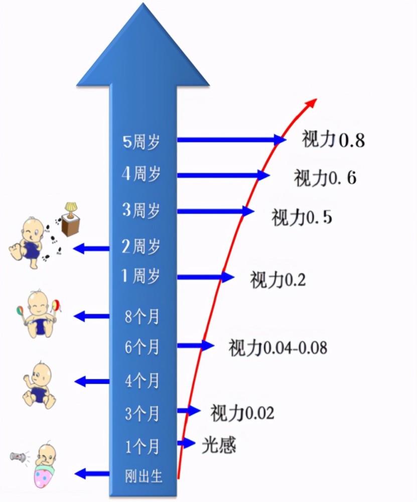 五个月宝宝视力发展解析