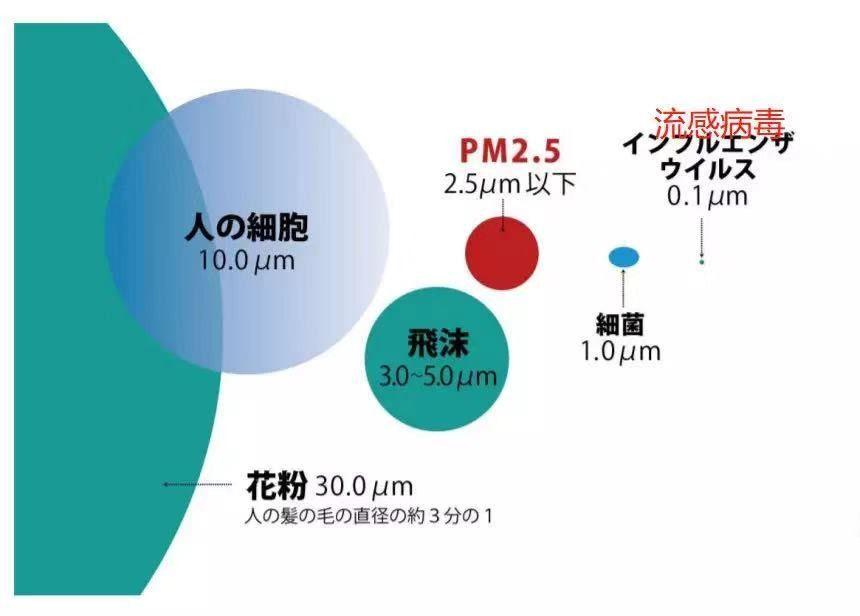 五个月宝宝打喷嚏，原因、应对措施与关注重点