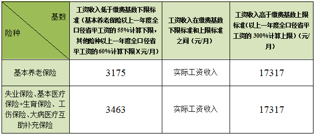 广东省社保保险费，理解其重要性及其运作方式