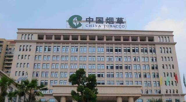 广东卷烟材料有限公司，卓越品质铸就行业典范