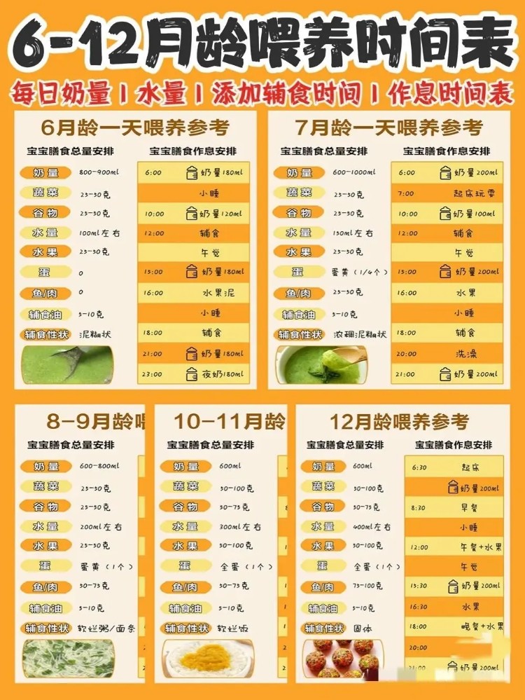 六个月宝宝辅食添加的全方位指南