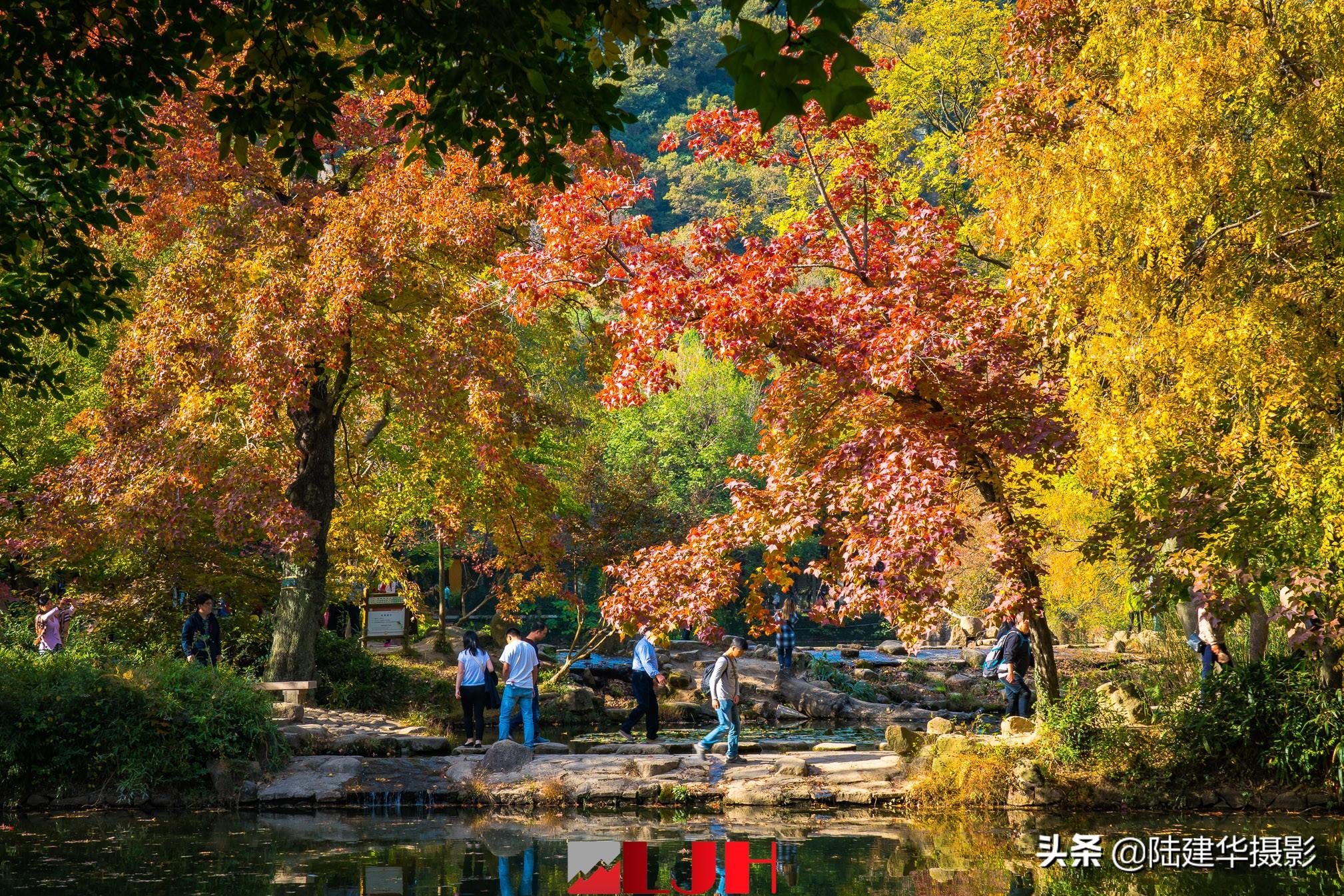 江苏大学与西南科技，两所大学的独特魅力与卓越贡献