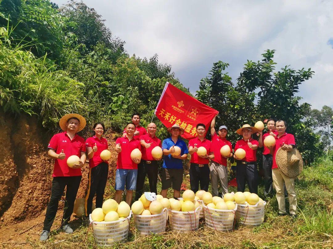 广东农资集团有限公司，引领农资行业，助力农业现代化