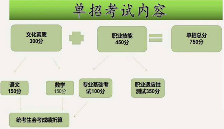 广东省2022年单招政策解析