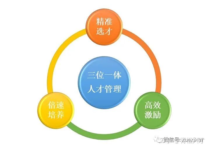 广东省选调23，选拔优秀人才的战略举措