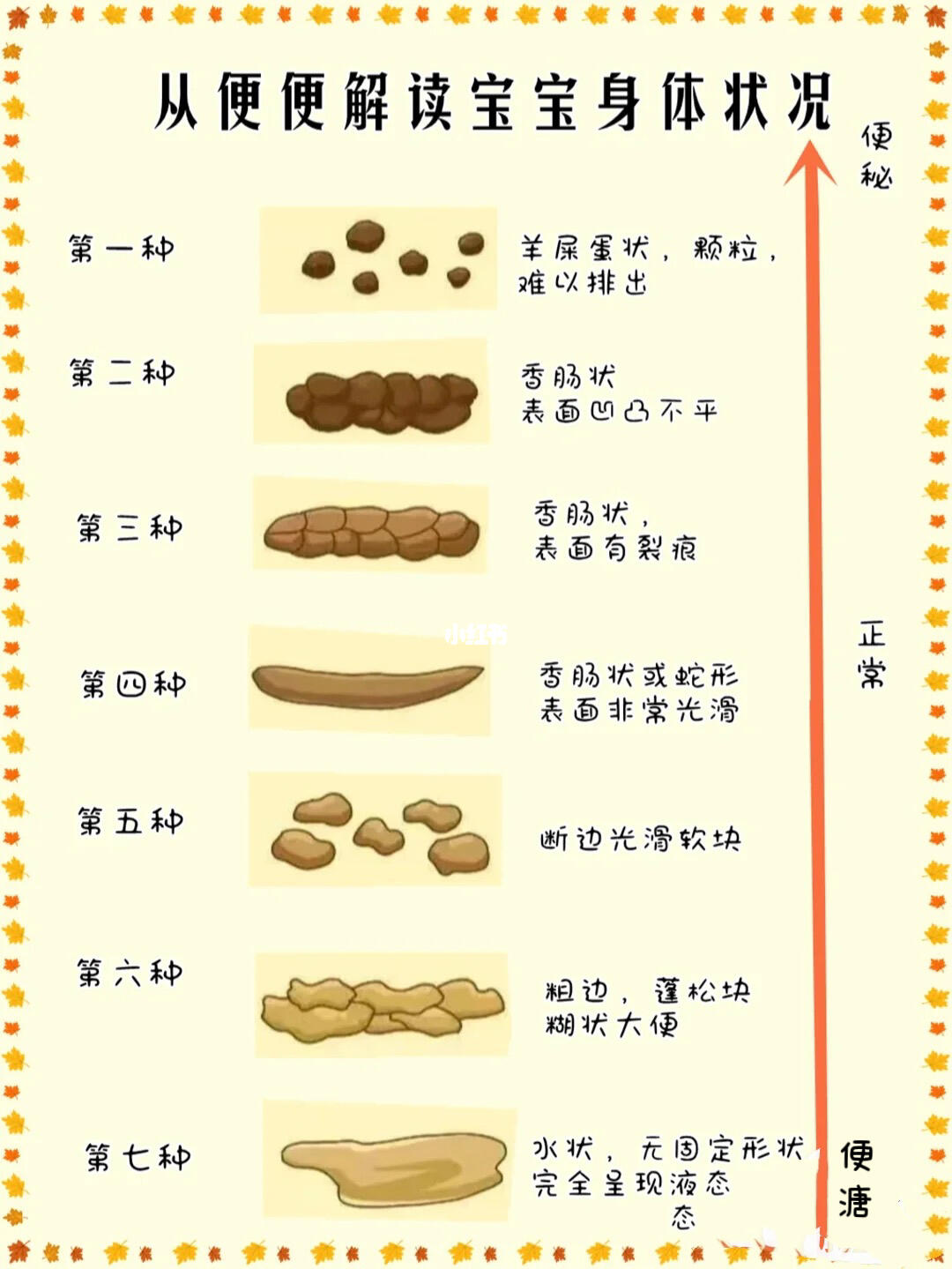 关于七个月宝宝大便次数的探讨