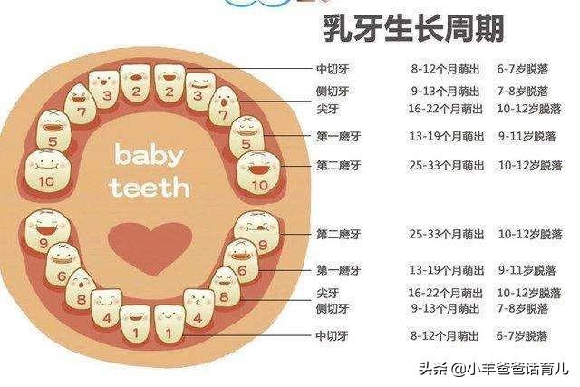 宝宝六个月长牙，成长里程碑与照顾指南