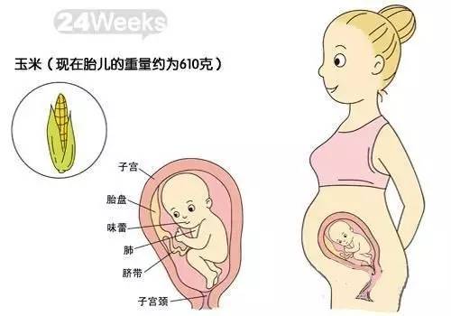 孕期查畸形排查，最佳时间选择与重要性解析