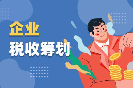 广东省企业税务与筹划，策略与实践