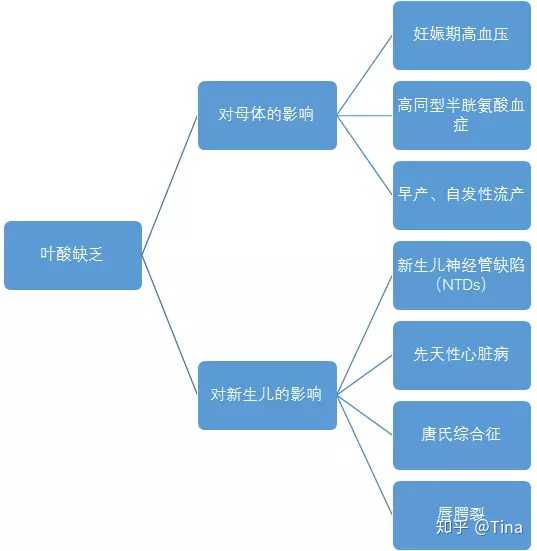 叶酸补充到妊娠四个月，合理与否的探讨