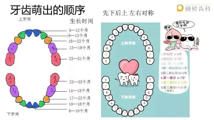 四个月长牙齿正常吗？解读婴儿牙齿生长周期与个体差异