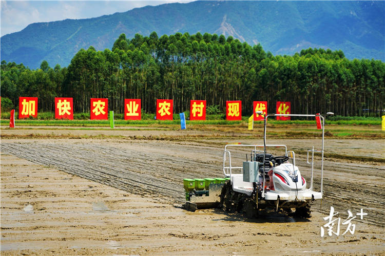 广东省火星农场的由来