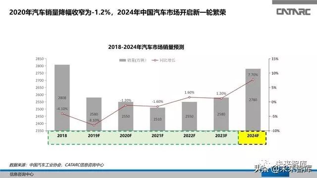 广东王氏有限公司，历史沿革、业务布局与未来展望